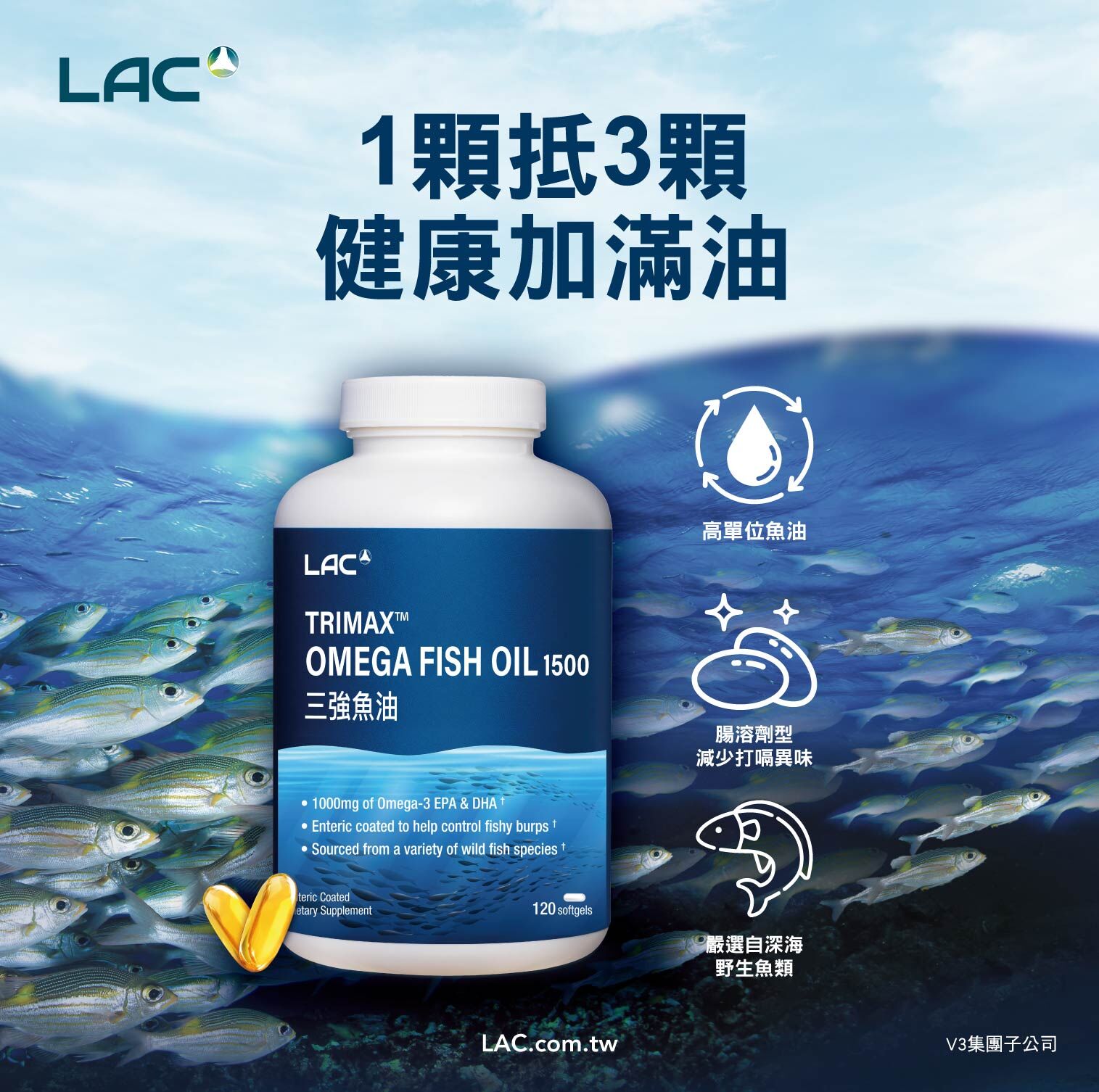 年節忙碌更要補！全球75%人Omega-3未達標 營養到位成健康關鍵（圖／品牌提供）