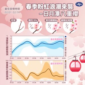 台版櫻花前線公布！氣象署：日月潭八重櫻「提早8天開」