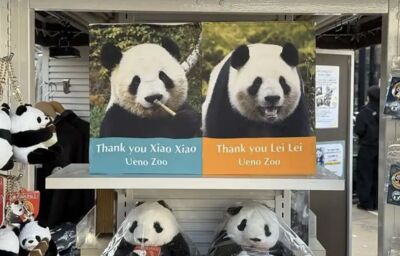 上野動物園大貓熊將返回中國　陸外交部：歡迎日本民眾來中國看