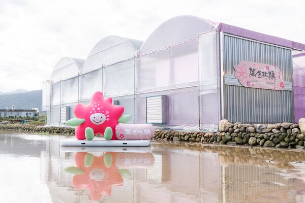 ▲2026萬金杜鵑花展將於2月7日開展。（資料照／新北市農業局提供）