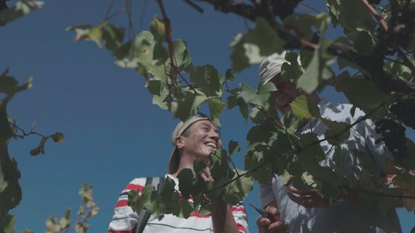 ▲▼莊凱勛遠赴澳洲尋寶體悟人生 重新思考與家的連結。（圖／公視提供）