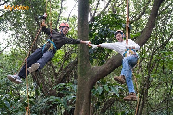 ▲蔡昌憲（左）安排攀樹體驗，把「花甲」陳冠霖（右）吊上樹。（圖：台灣大哥大MyVideo提供）。