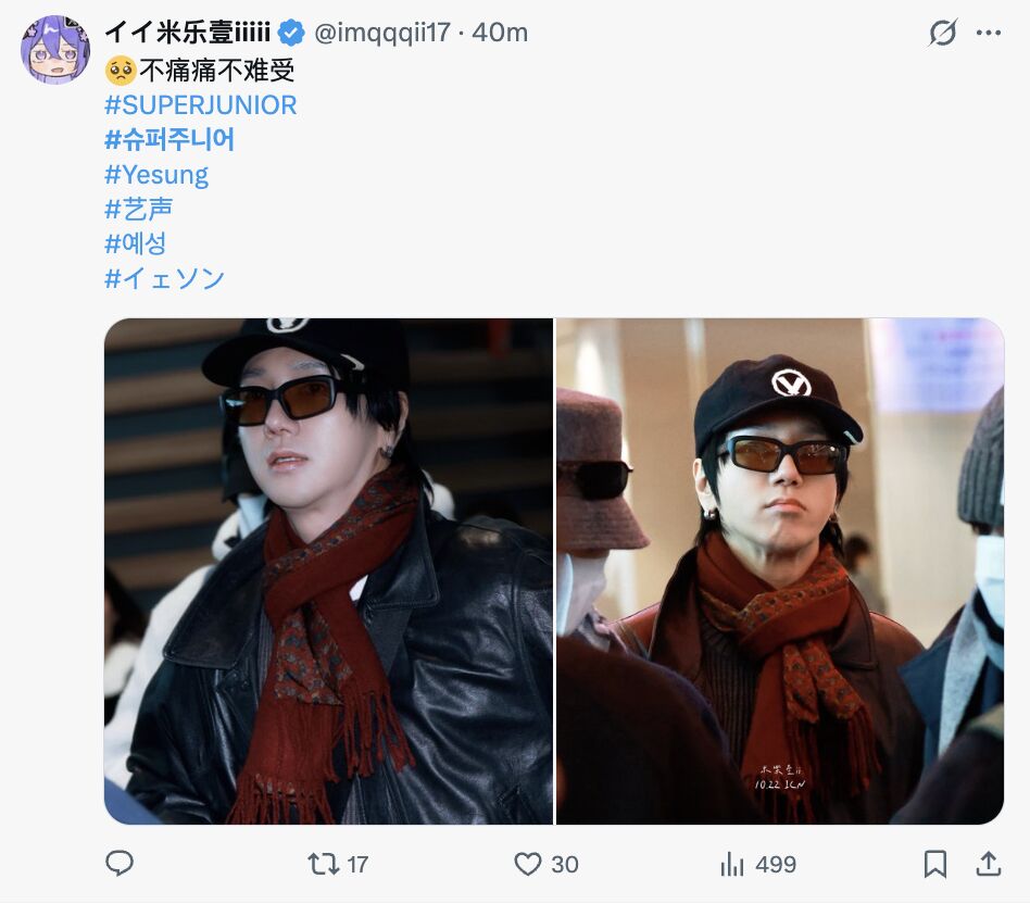 ▲▼ 直擊／SJ出發飛高雄！　「小港機場海景第一排滿了」粉絲帶狗追星。（圖／翻攝自X、利特IG）