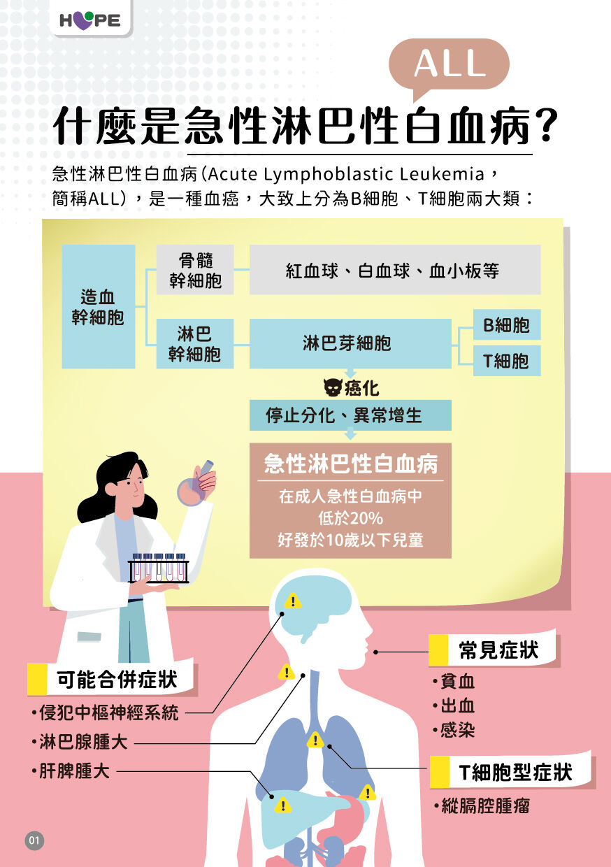 ▲▼認識急性淋巴性白血病。（圖／癌症希望基金會提供）