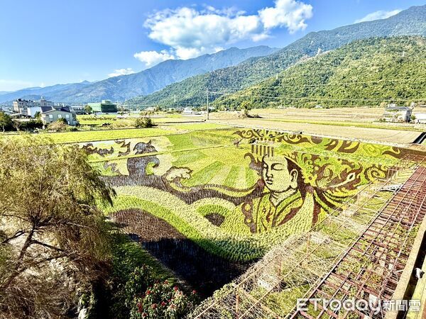 ▲關山鎮農會彩繪稻田「天后邸家」，以彩色水稻呈現媽祖形象，並提供直播服務方便民眾欣賞。。（圖／記者楊晨東翻攝）