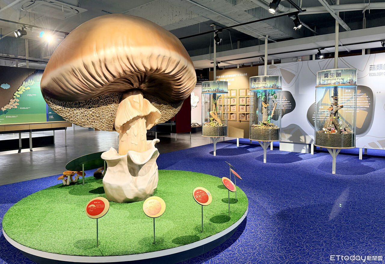 迎新春馬年主題 霧峰農會串聯農遊購體驗