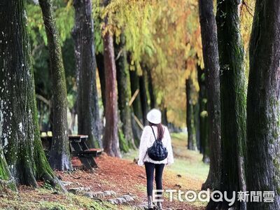 國旅沒降溫！短時多次微旅行成主流