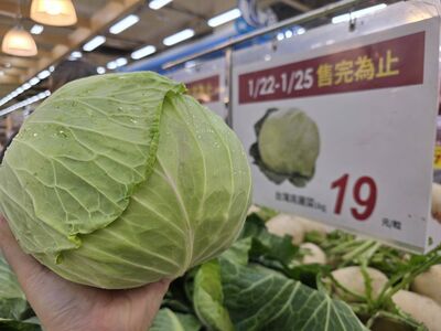 高麗菜、白蘿蔔19元！量販店生鮮限時優惠