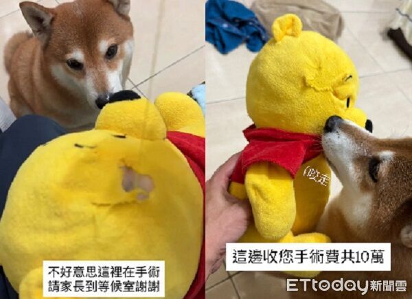 下班接到「娃娃緊急手術」　家屬心急陪診出院又家暴患者