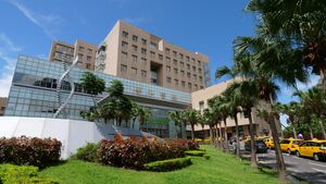 院長大年初一親自看診　雙和醫院春節啟動24診次分流