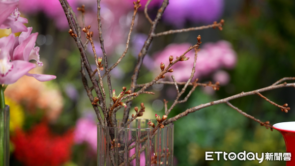 ▲▼過年居家花藝布置#1,蔓綠絨花卉,羅凱云。（圖／記者姜國輝攝）