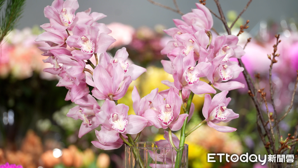 ▲▼過年居家花藝布置#1,蔓綠絨花卉,羅凱云。（圖／記者姜國輝攝）