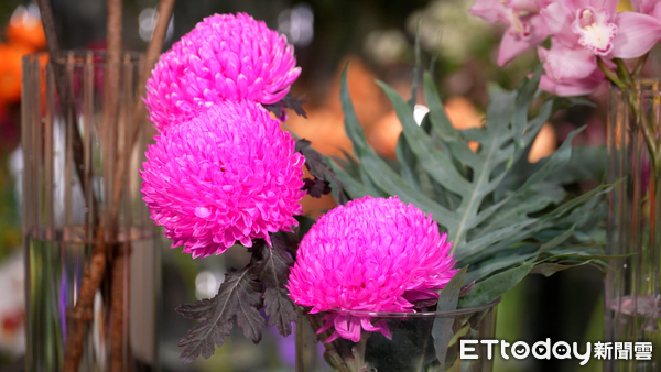 ▲▼過年居家花藝布置#1,蔓綠絨花卉,羅凱云。（圖／記者姜國輝攝）