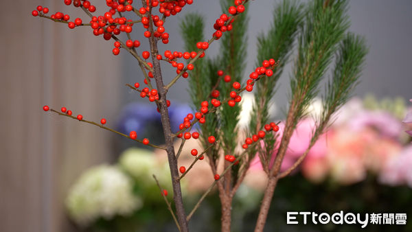 ▲▼過年居家花藝布置#1,蔓綠絨花卉,羅凱云。（圖／記者姜國輝攝）