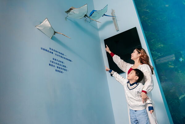 ▲Xpark攜手台灣摺紙協會，1/24起推出跨界展覽《海洋摺學家作品展－Origami Artworks》。（圖／業者提供）