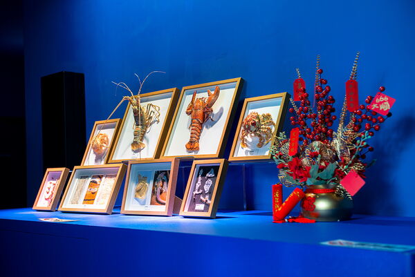 ▲Xpark攜手台灣摺紙協會，1/24起推出跨界展覽《海洋摺學家作品展－Origami Artworks》。（圖／業者提供）