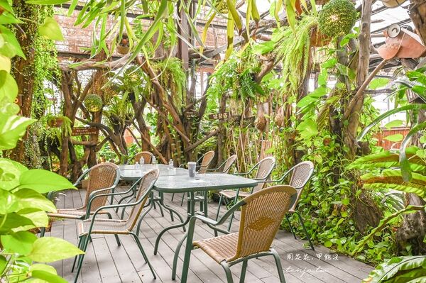 ▲▼台北花卉村森林派對咖啡館。（圖／記者陳莉玟攝）