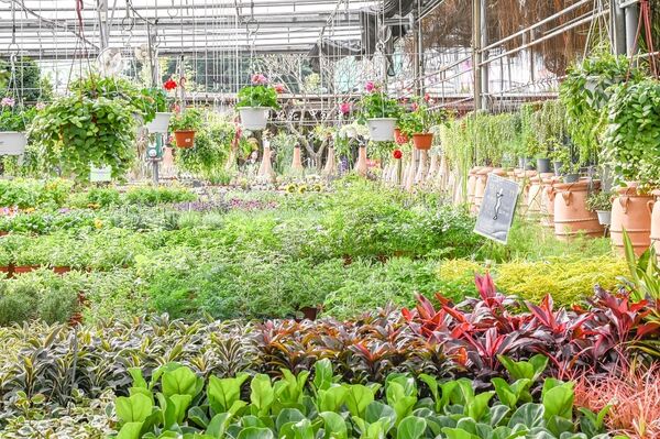 ▲▼台北花卉村森林派對咖啡館。（圖／記者陳莉玟攝）