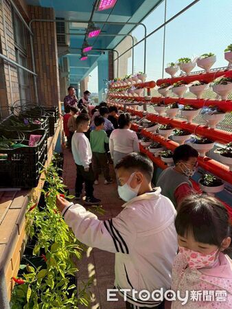 ▲越港國小學生在雲林智慧教育中心智慧農業館內體驗草莓採收，了解作物從栽培到收成的過程。（圖／記者游瓊華翻攝）