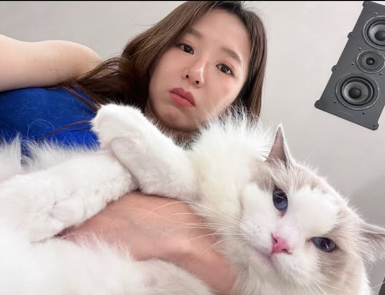 ▲▼郭書瑤。（圖／翻攝自Instagram／yaokuo）