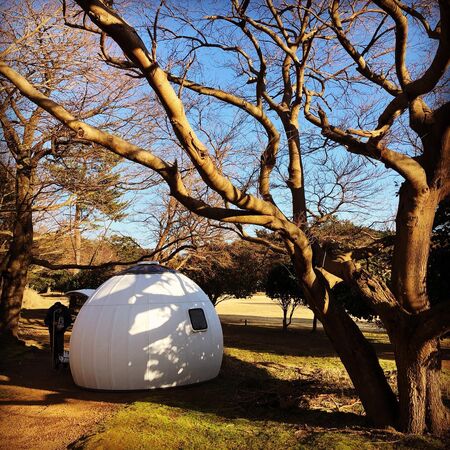 ▲日本TCL公司推出的Ezdome House。（圖／翻攝Ezdome官方Facebook）