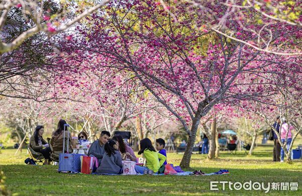 ▲▼             。（圖／日管處提供）