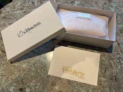 收到神秘驚喜！迪士尼鐵粉「第10次住飯店」嗨到哭　網嘆：好羨慕