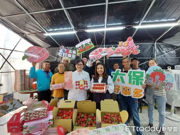 ▲▼ 「莓來玩不行」太保草莓季甜蜜登場太保市公所推7大草莓園串聯採摘地圖　專屬提盒送禮自用都吸睛   。（圖／太保市公所提供）