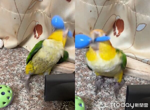 ▲。（圖／Threads@sujia_kmym提供，請勿隨意翻拍，以免侵權。）