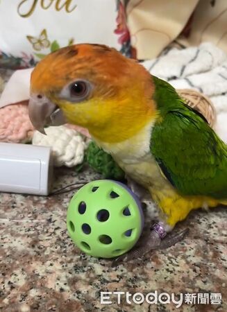 ▲。（圖／Threads@sujia_kmym提供，請勿隨意翻拍，以免侵權。）