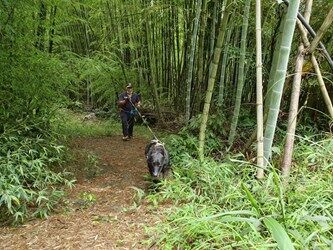 ▲▼             。（圖／記者鄧木卿翻攝）