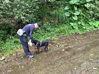 ▲▼             。（圖／記者鄧木卿翻攝）