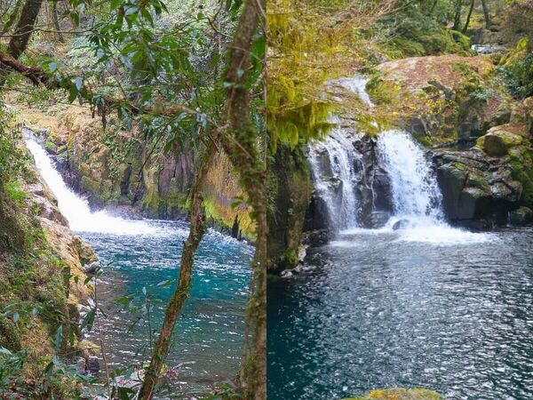 ▲▼熊本菊池一日遊景點。（圖／ReadyGo提供）