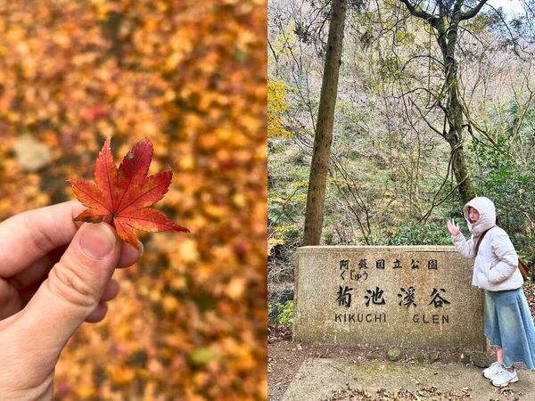 ▲▼熊本菊池一日遊景點。（圖／ReadyGo提供）