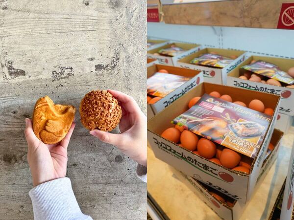 ▲▼熊本菊池一日遊景點。（圖／ReadyGo提供）