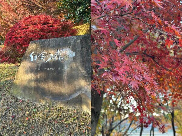 ▲▼熊本菊池一日遊景點。（圖／ReadyGo提供）