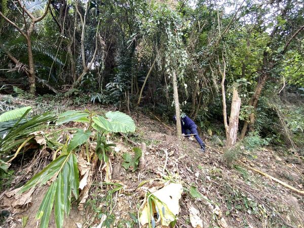 ▲▼太平偏僻筍田驚見頭顱，眼尖員警憑外套查出10年失蹤女子。（圖／民眾提供，下同）