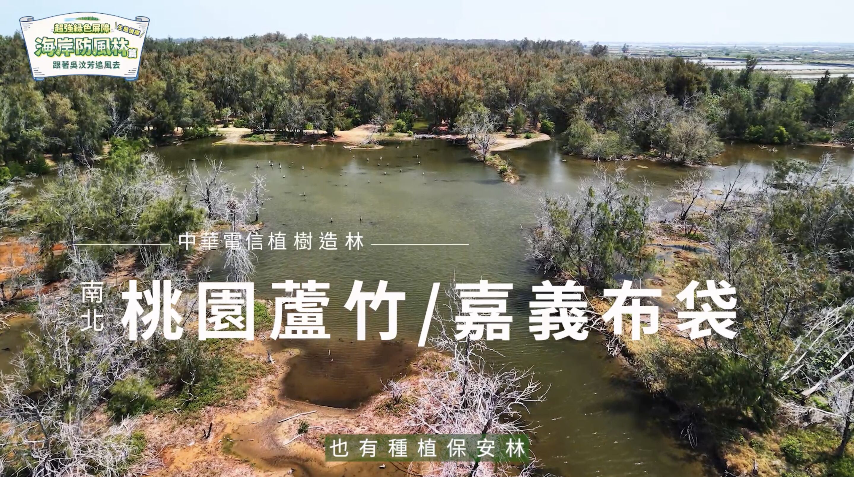 ▲▼中華電信,桃園,蘆竹,植樹,防風林,海岸,吳汶芳,ESG。（圖／翻攝自影片）