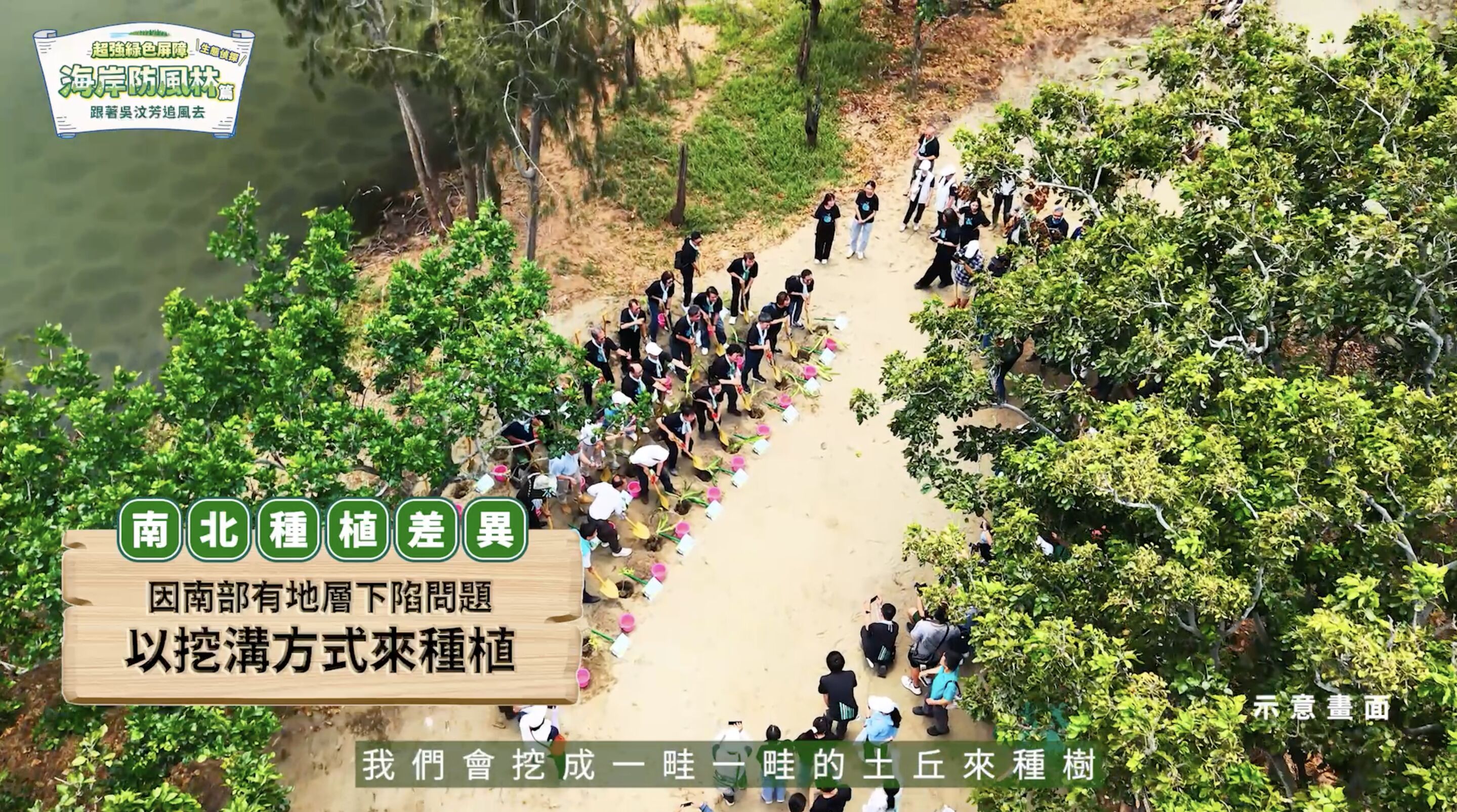 ▲▼中華電信,桃園,蘆竹,植樹,防風林,海岸,吳汶芳,ESG。（圖／翻攝自影片）