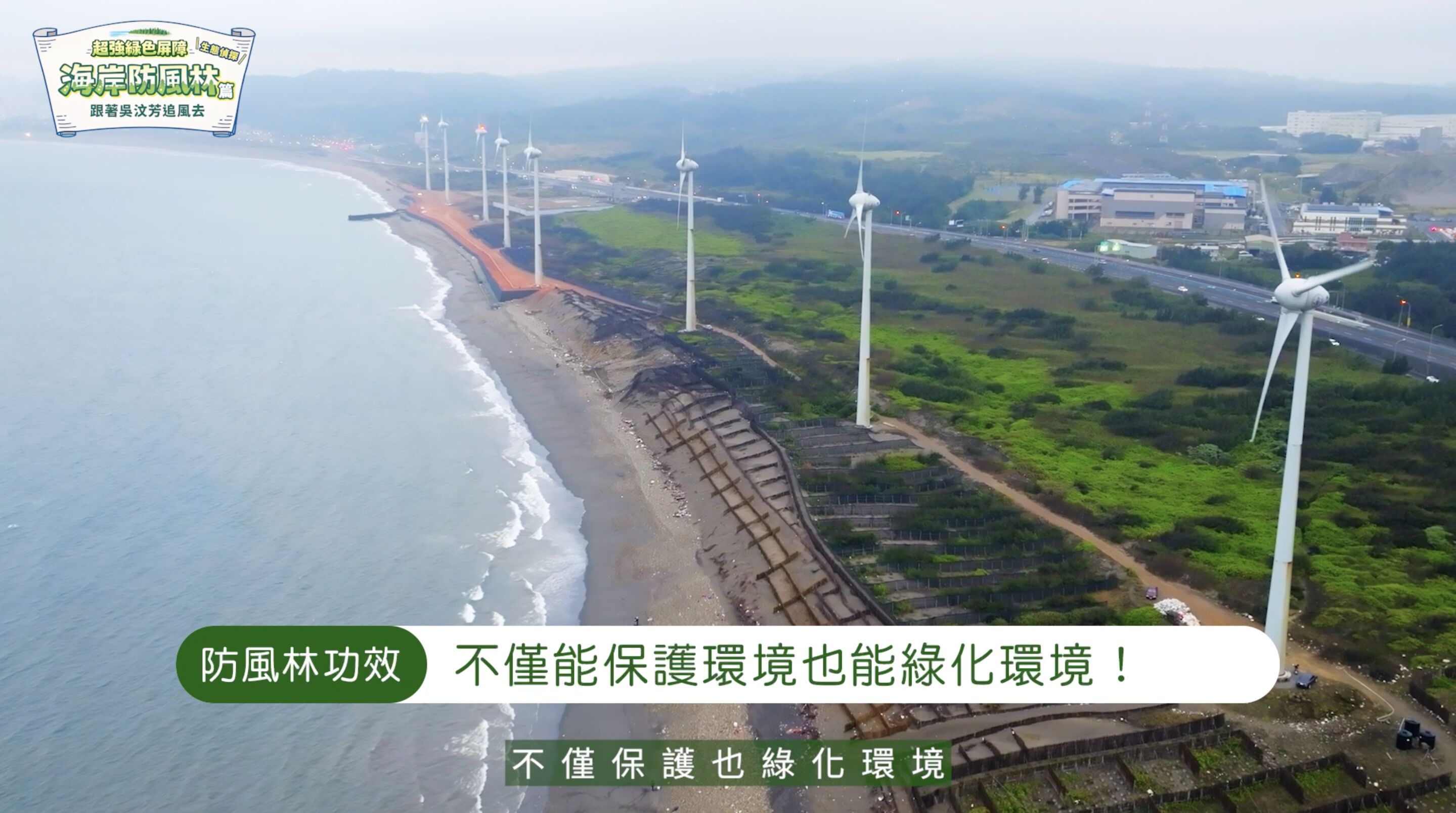 ▲▼中華電信,桃園,蘆竹,植樹,防風林,海岸,吳汶芳,ESG。（圖／翻攝自影片）