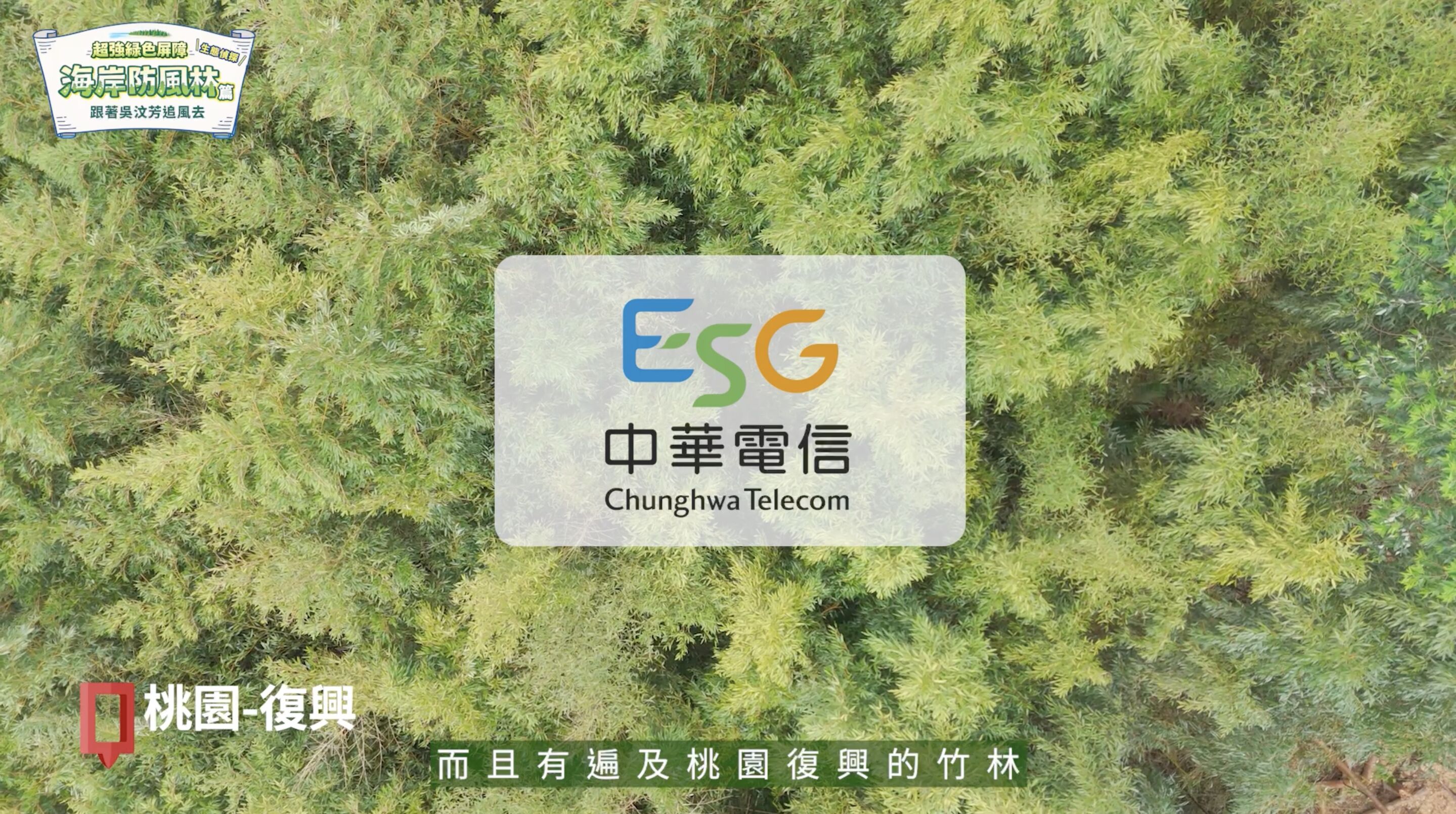 ▲▼中華電信,桃園,蘆竹,植樹,防風林,海岸,吳汶芳,ESG。（圖／翻攝自影片）