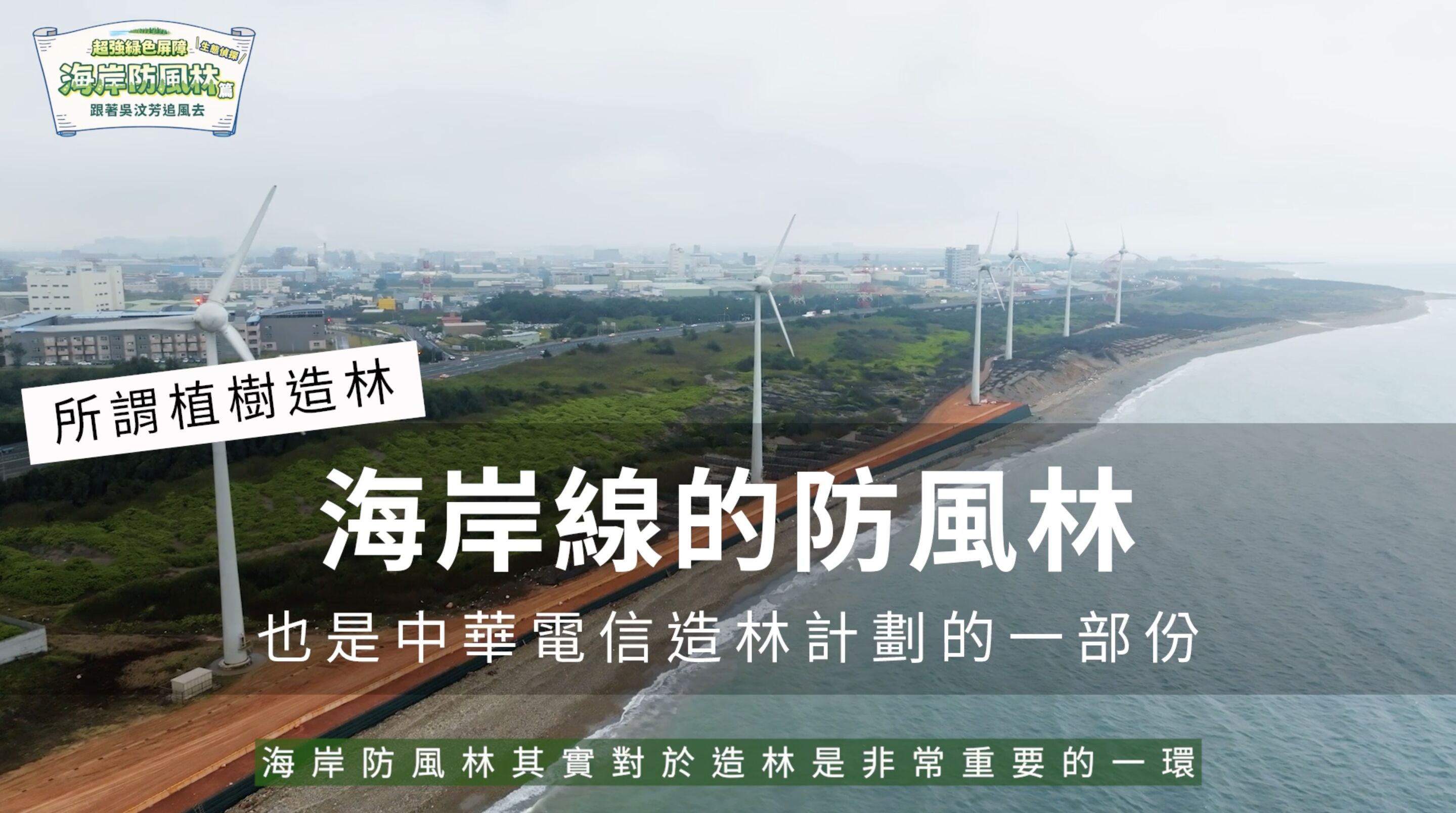 ▲▼中華電信,桃園,蘆竹,植樹,防風林,海岸,吳汶芳,ESG。（圖／翻攝自影片）