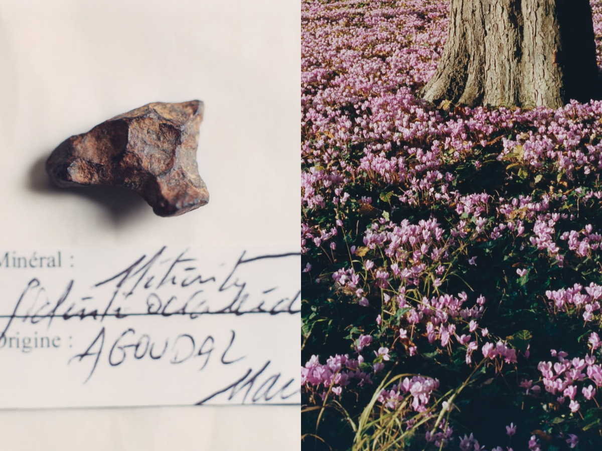 ▲Dior陳庭妮。（圖／品牌提供、翻攝陳庭妮、Dior IG）