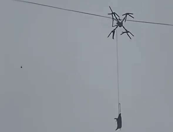 ▲▼ 四川無人機吊運生豬失誤 誤觸高壓電線致一村莊停電            。（圖／翻攝 新京報）