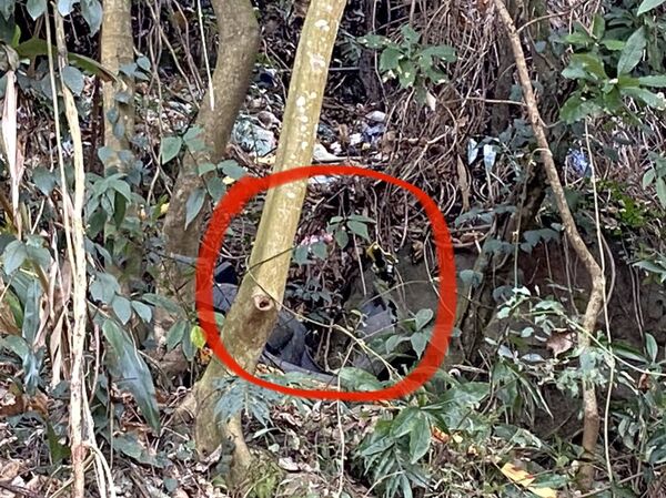 ▲▼台中二寶媽山區失蹤10年，早成白骨，當天離家前擁抱媽媽無聲訣別。（圖／民眾提供，下同）