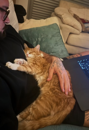 壯漢健身被流浪貓亂入。（圖／翻攝自IG@the_island_keeper）