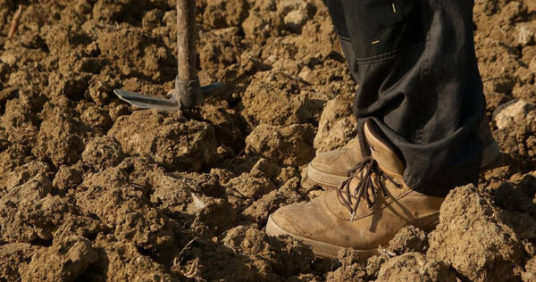 農夫田裡找鐵鎚反挖出千年寶藏　獲國家認證！天價回饋曝光