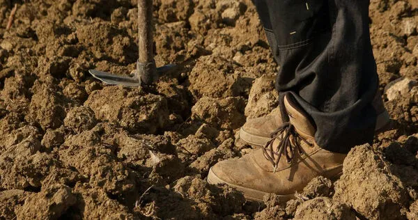 農夫田裡找鐵鎚反挖出千年寶藏　獲國家認證！天價回饋曝光