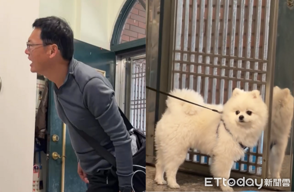 遛狗前回頭關注霍諾德爬101　小狗眼神譴責：到底什麼時候出門！