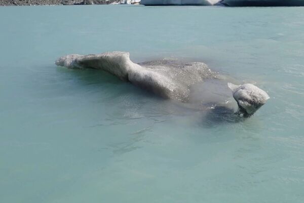 ▲▼塔斯曼冰川探險者。（圖／部落客捲捲頭品味生活授權提供）